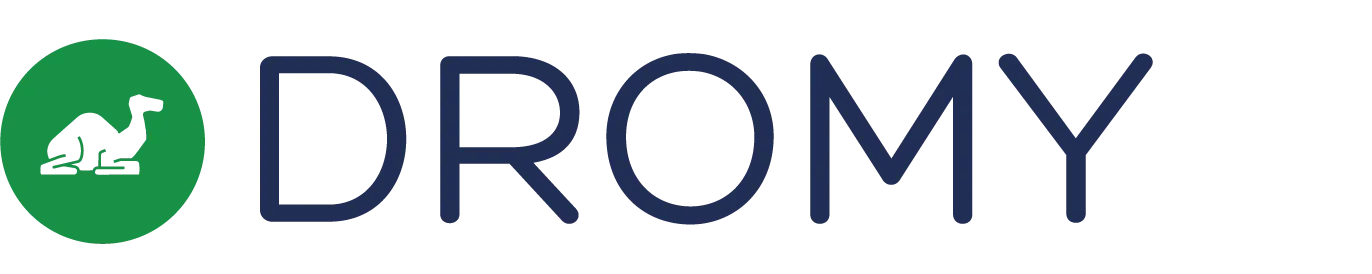DROMY logo