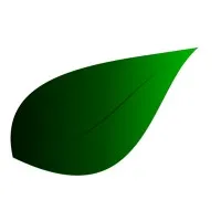 S.A.S. JDG DISTRIBUTION logo