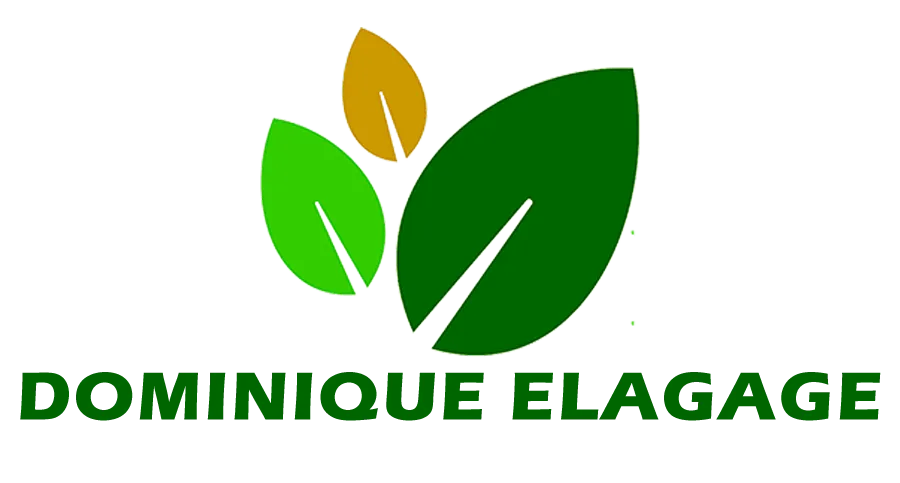 CAPLOT DOMINIQUE logo