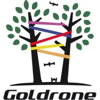 GOLDRONE logo