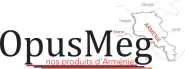 OPUSMEG logo
