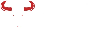 DE SOUSA MICKAEL logo
