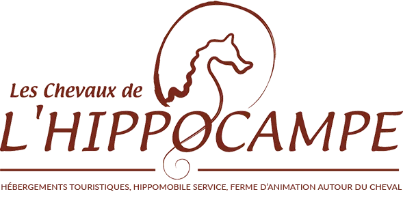 LES CHEVAUX DE L'HIPPOCAMPE logo