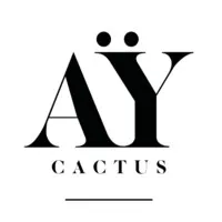 AY STUDIO logo