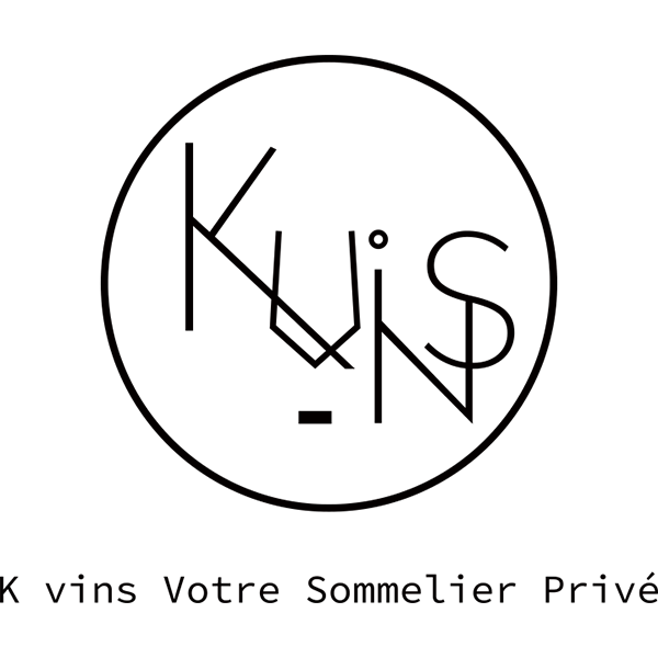 K VINS logo