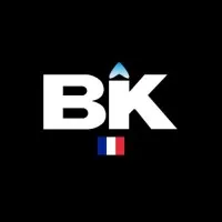 BROIL KING FR logo