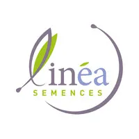 Voici le logo de la marque LINEA SEMENCES DE LIN qui représente son identité graphique.