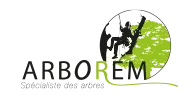 ARBOREM logo