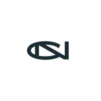 CONCEPT NUMERIQUE logo