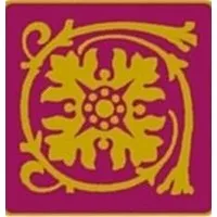 CHRISTOPHE SAVOYE logo