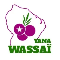 YANA WASSAI logo