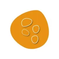 NOUVELLES GRAINES logo