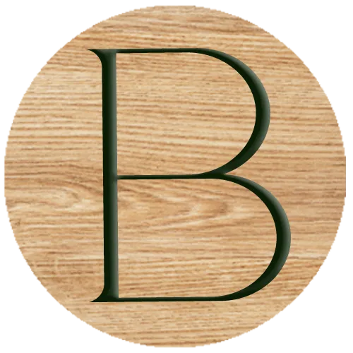 BO T ZEN logo