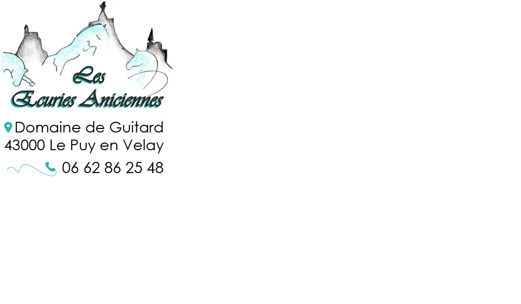LES ECURIES ANICIENNES logo