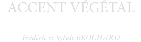 JULIAN BIS logo
