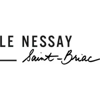 NESSAY logo
