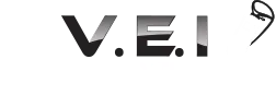V.E.I. VALENCE EXTINCTEUR INCENDIE logo