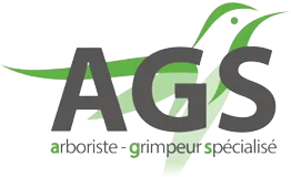 AGS logo
