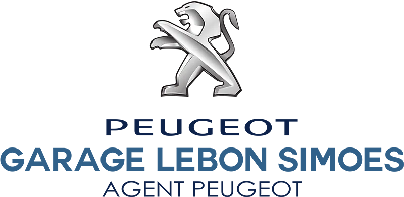 LEBON SIMOES logo