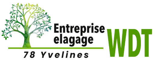 WINDRESTEIN EMMANUEL logo