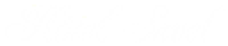 HOTEL SAVEL logo