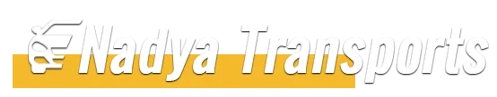 N.A.I.S. logo