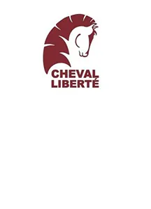 LES REMORQUES DU GRAND EST logo
