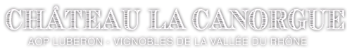 A GOOD YEAR logo