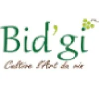 DOMAINES BIDGI logo