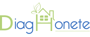 DIAGHONETE (DH) logo