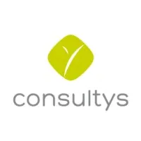 CONSULTYS HOLDING logo