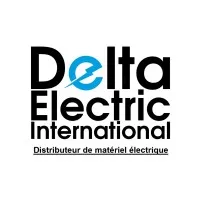 DELTA ELECTRIC INTERNATIONAL logo