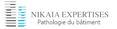 NIKAIA EXPERTISES logo