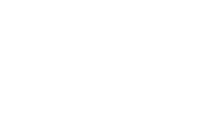 LE SALON DE PIERRE logo