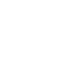 FALCONNET logo