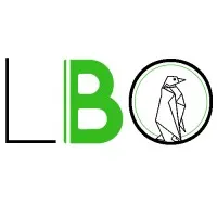 LB ORGANISATION logo