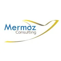 MERMOZ CONSULTING logo