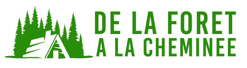 DE LA FORET A LA CHEMINEE logo