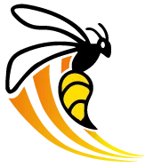 CAPTAINE SERVICES logo