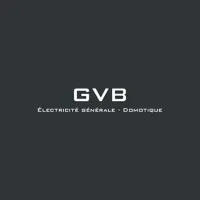 Voici le logo de la marque GVB qui représente son identité graphique.