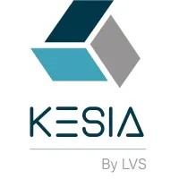 LVS FRANCE logo