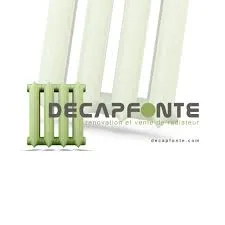 DECAPFONTE logo
