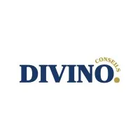DIVINO CONSEILS logo