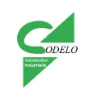 CODELO VALORISATION INDUSTRIELLE logo