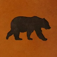 Voici le logo de la marque MILLENIUM qui représente son identité graphique.