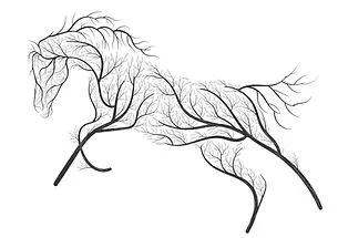 DOMAINE HOPE logo