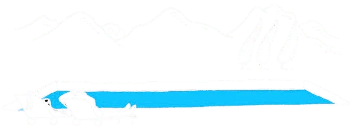 NG PISCINES logo