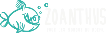 ZOANTHUS logo