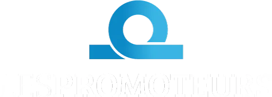 LES PROMOTEURS logo