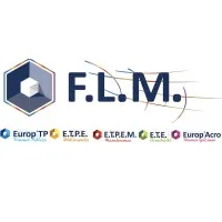 HOLDING FLM logo